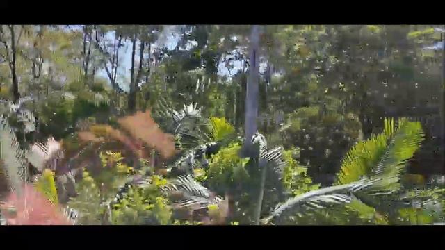 Mauritius. Часть 5.Национальный парк. Семицветная земля и черепахи. смотреть онлайн