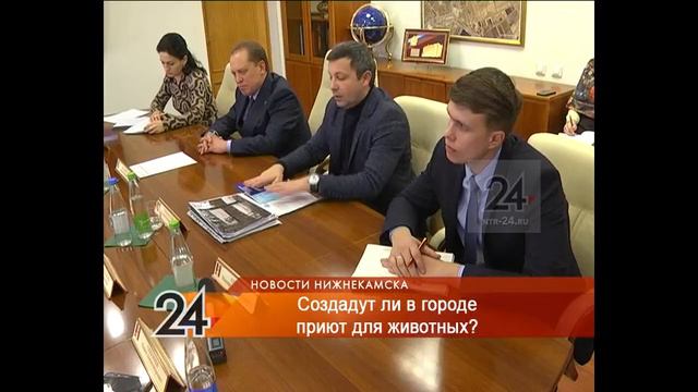 В Нижнекамске разрабатывают концепцию приюта для бездомных животных смотреть онлайн