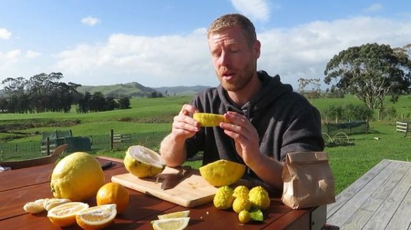 7 Awesome Lemon and Lime Varieties - Ponderosa, Meyer, Yen Ben, Lemonade, Key Lime, Limequat, Makru