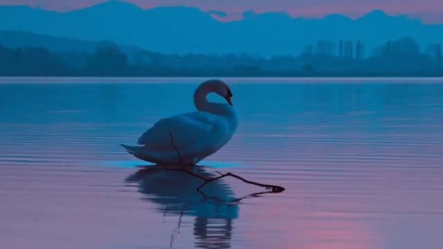 Старинный Заговор на любовь мужа, чтоб муж любил и скучал ?????? смотреть онлайн