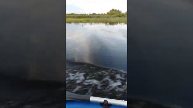 лодочный мотор парус 5 л.с