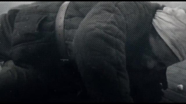 1000798619.mp4 смотреть онлайн