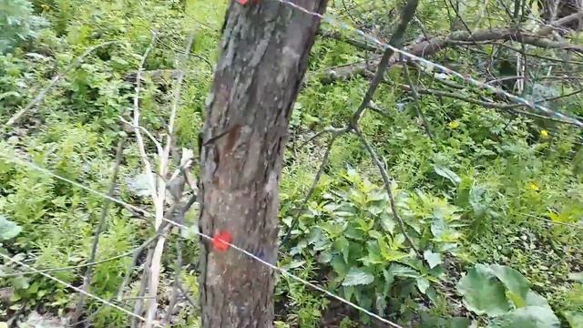 Установка электропастуха//Часть первая