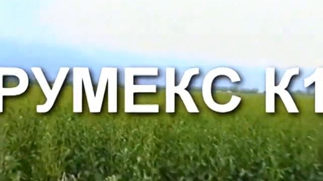Rumex K-1 / Румекс К-1 смотреть онлайн