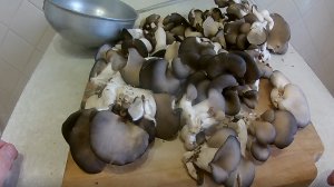 маринованные вешенки, очень быстро, очень вкусно.
