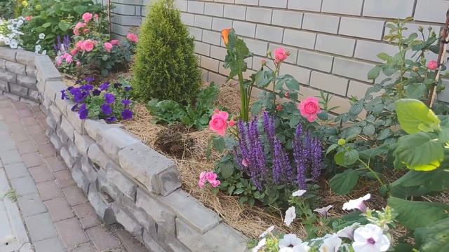 ОБЗОР ЦВЕТУЩЕГО ДВОРИКА НА 8 ИЮЛЯ 2022 ГОДА смотреть онлайн