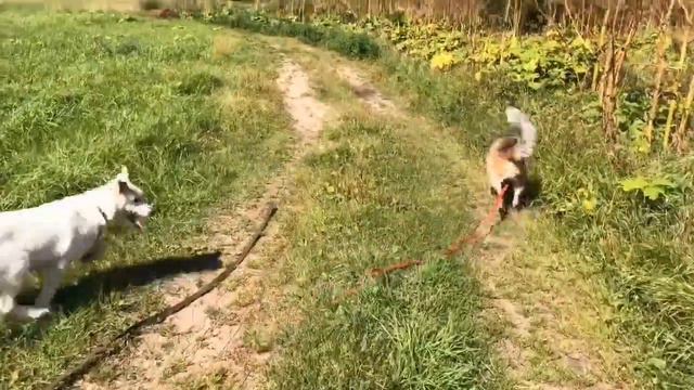 Ник и Герда смотреть онлайн