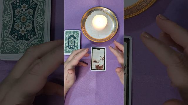 5 сентября. Оракул Аист смотреть онлайн