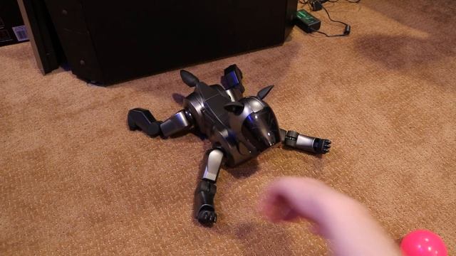 AIBO 210 - Life 1 newborn pup (Baby Stage 1) part 3 смотреть онлайн