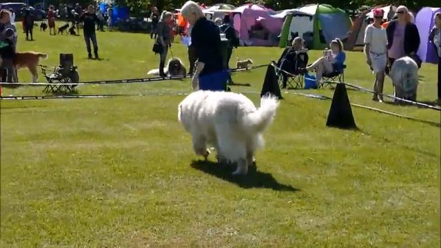 EW19 CO смотреть онлайн