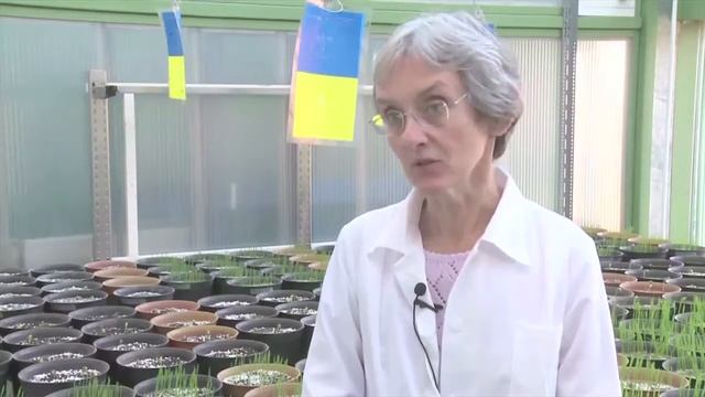 2016. BioFil - Kutatástól A Gyártásig