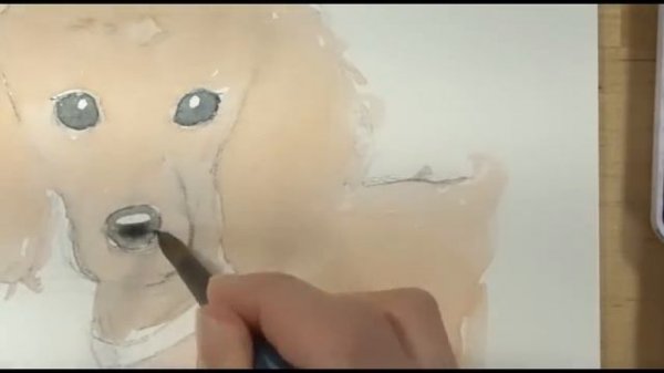 How to draw and paint a dog (Poodle) with watercolor
