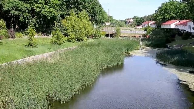 Семья из Мариуполя. Как это было 2020г. #мариупольсегодня #форестпарк смотреть онлайн