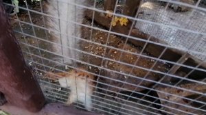 2023 Адлер Сочи Июнь Отдых Отель ⭐⭐⭐ Грейс Арли бассейн шведский стол лето море джубга Обзор отеля