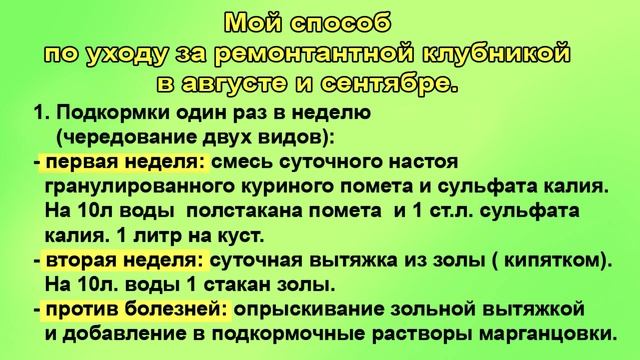 Уход за ремонтантной клубникой в сентябре. смотреть онлайн
