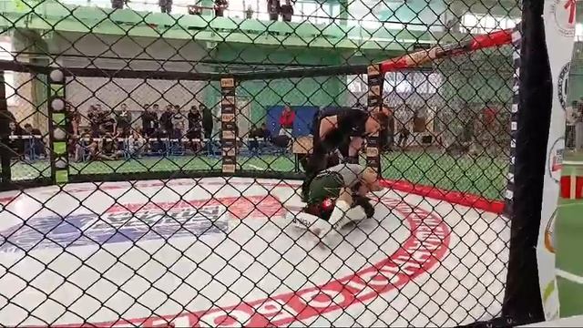 12 ноября 2023 г. смотреть онлайн