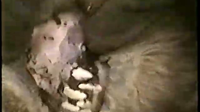 Kodiak Brown Bear Hunting in Alaska with Master Guide Jim Bailey смотреть онлайн