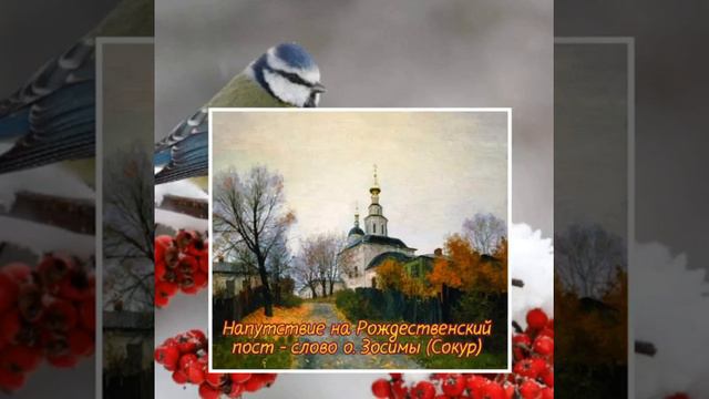 "Только с радостью поститесь" - слово схиархимандрита Зосимы (Сокур). смотреть онлайн