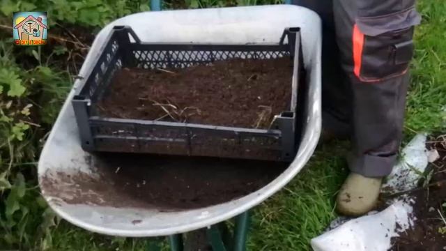 Для дачной клубники. Подготовка старого грунта под новую рассаду. DIY & DACHA. #111. смотреть онлайн