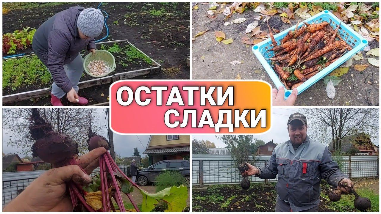 ВЛОГ! Ого,сколько ещё всего наросло//Подготовка участка к зиме//Уборка на даче//Осень2021//моя семья