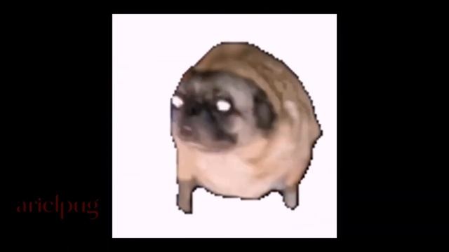 Pug and gulp gulp смотреть онлайн