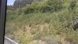 Кемерово трамвай