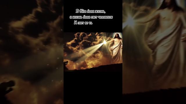 Евангелие в цитатах🕊️Отдыхайте с пользой для души🤍 смотреть онлайн