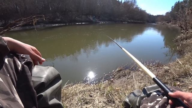 РЫБАЛКА НА ПОПЛАВОК СРЕДИ КОРЯГ. Сказочная природа. Ловля разной рыбы 2023. смотреть онлайн