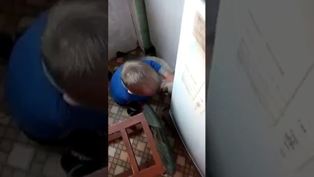 Когда кот нагадил! смотреть онлайн