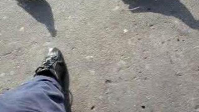 Кормим Голубей смотреть онлайн