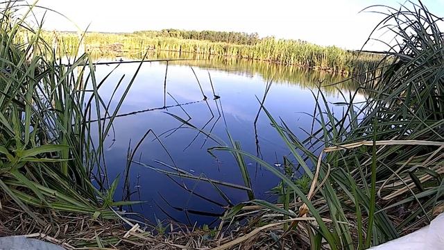 РЫБАЛКА НА КАРПА В ИЮЛЕ 2020г