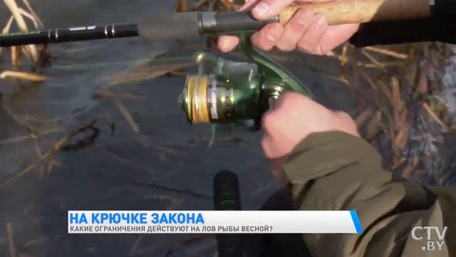 Какие ограничения на лов рыбы действуют весной в Беларуси смотреть онлайн