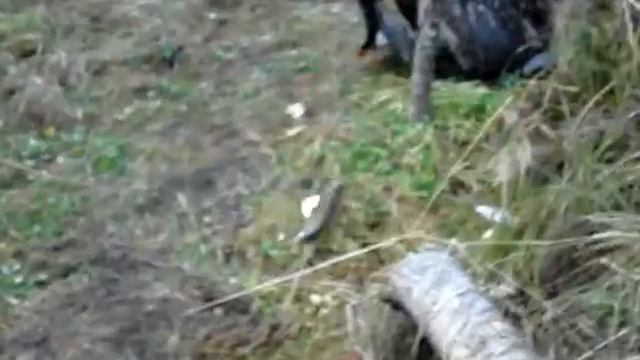 Рыбалка на Тайбе 2 смотреть онлайн