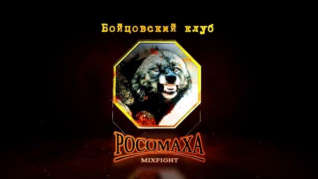 Турнир по боевому самбо "Александр Невский" 4 декабря 2016 смотреть онлайн