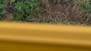 Пинпоинтер Nokta Accupoint - Первый взгляд Nokta Accupoint