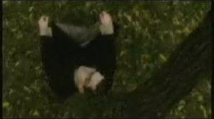 Пилот - 7 часов утра