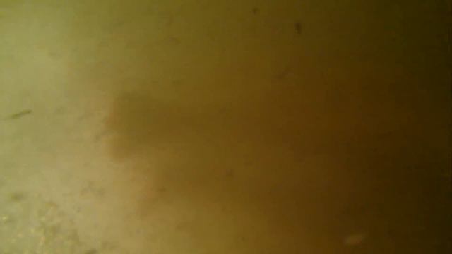 Филл купается смотреть онлайн