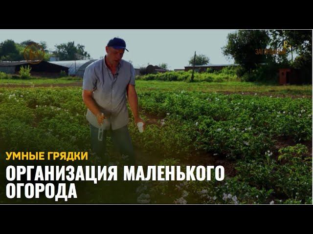 Организация маленького огорода / Умные грядки смотреть онлайн