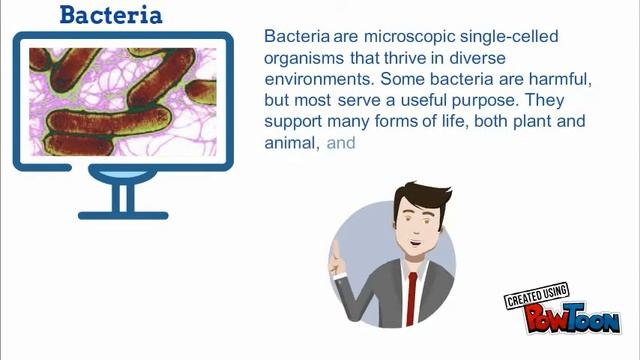 Types of Microorganisms смотреть онлайн