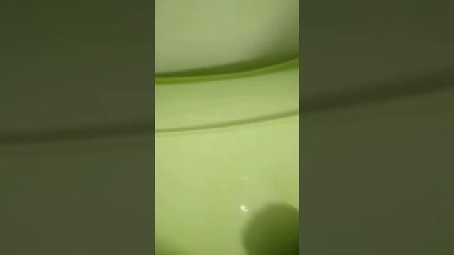 Убираем старый клей от ценника на пластиковой ванне. Greenway смотреть онлайн