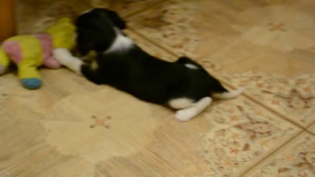 Любимая игрушка