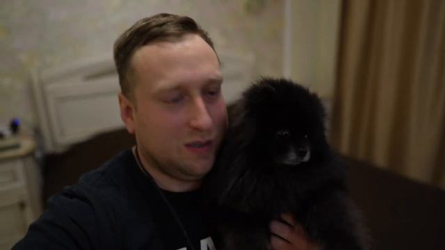 RGB КОМНАТА ШПИЦА смотреть онлайн