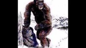 Йети снежный человек есть ли он на самом деле.Все о снежном человеке .