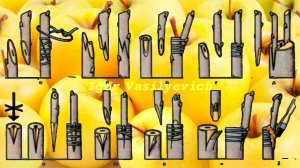 Прививка плодовых деревьев. Черенки для прививки. Когда прививать фруктовые деревья? Лучшие способы!