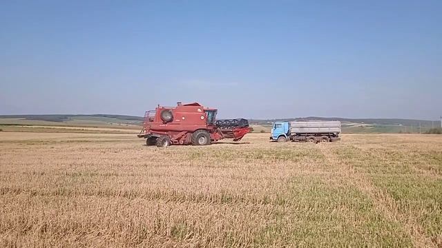 Омолот озимої пшениці 2023 смотреть онлайн