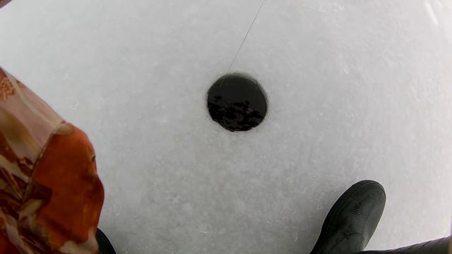 КРУПНАЯ ЩУКА НА ЖЕРЛИЦЫ. Ловля крупной щуки зимой. Бешеный клёв щуки на жерлицы / Щука зимой. смотреть онлайн