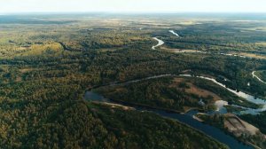 Туристический комплекс "БЕРЕЗИНСКАЯ ДУБРАВА"