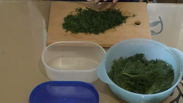 КАК ЗАМОРОЗИТЬ ЗЕЛЕНЬ НА ЗИМУ? ЛЮБИМЫЙ СПОСОБ ПРОВЕРЕННЫЙ ГОДАМИ смотреть онлайн