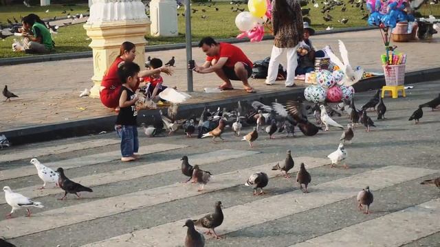 10 фактов о КАМБОДЖЕ: ВСЯ ПРАВДА О СТРАНЕ смотреть онлайн