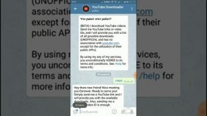Скачать видео с YouTube с помощью бота в telegram